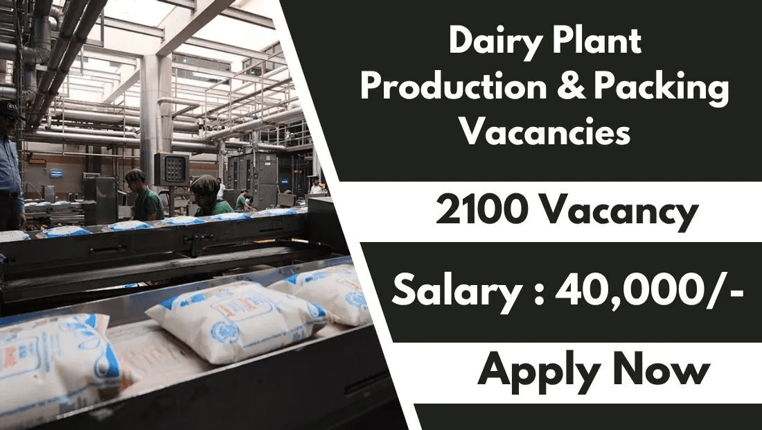 Dairy Plant Production & Packing Vacancies